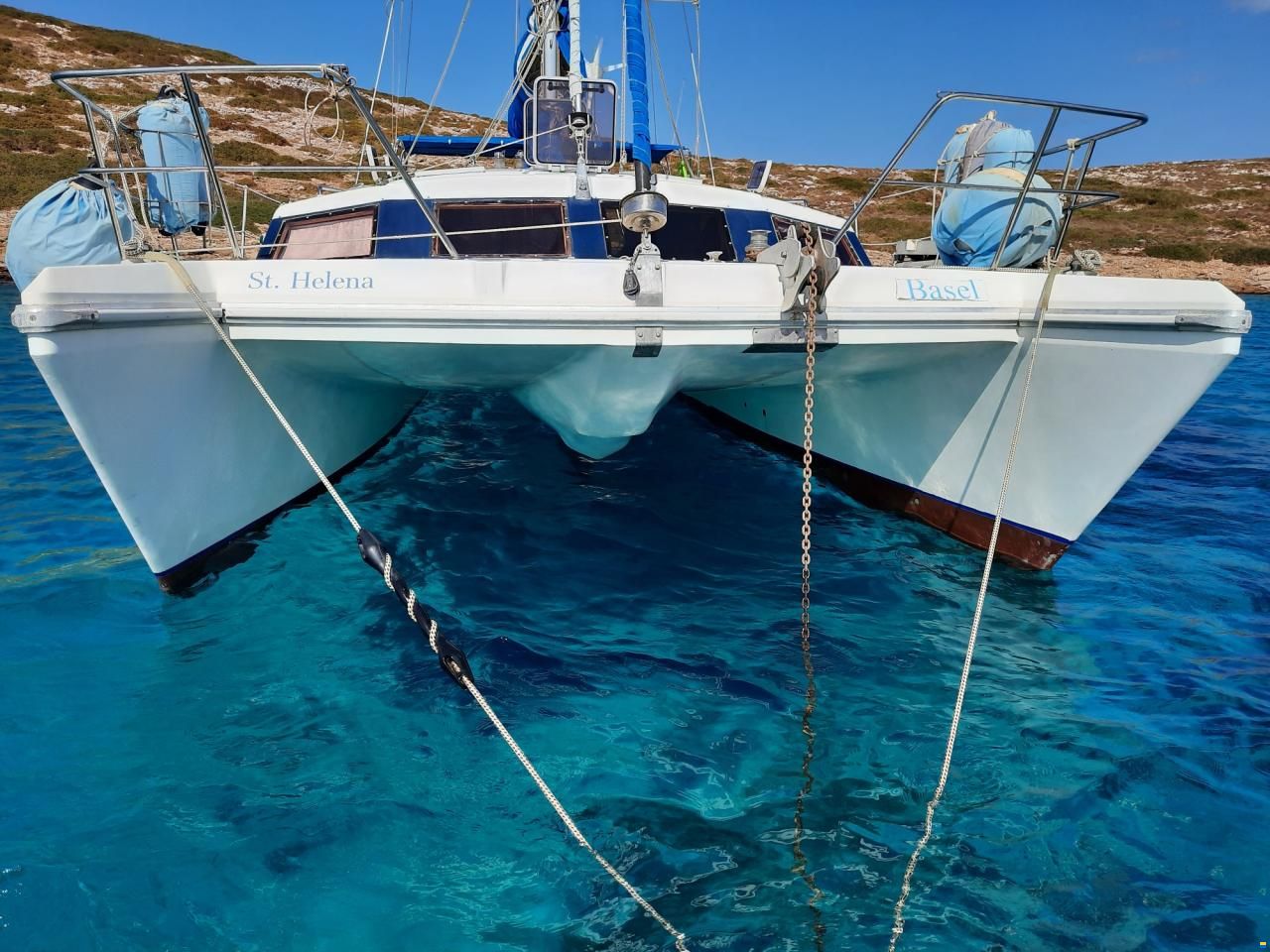 Prout Snow goose 37 Elite