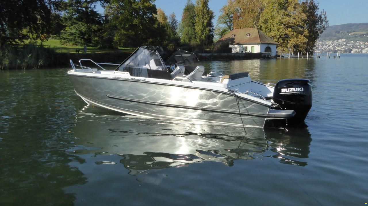 Silver Hawk BR
