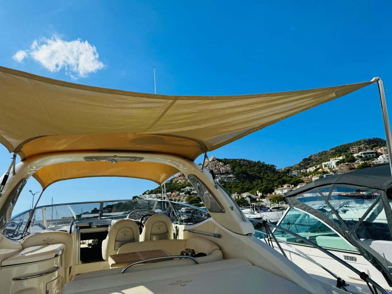 Cranchi Endurance 41