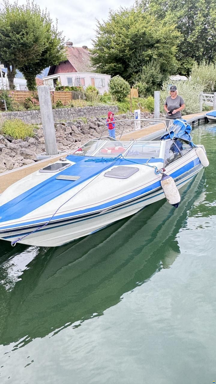 Bayliner Cobra 2250