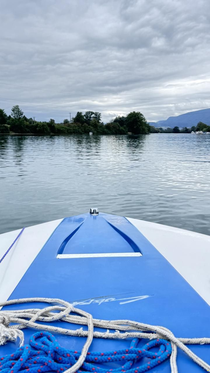Bayliner Cobra 2250
