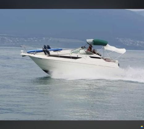 Wellcraft 2700 Martinique