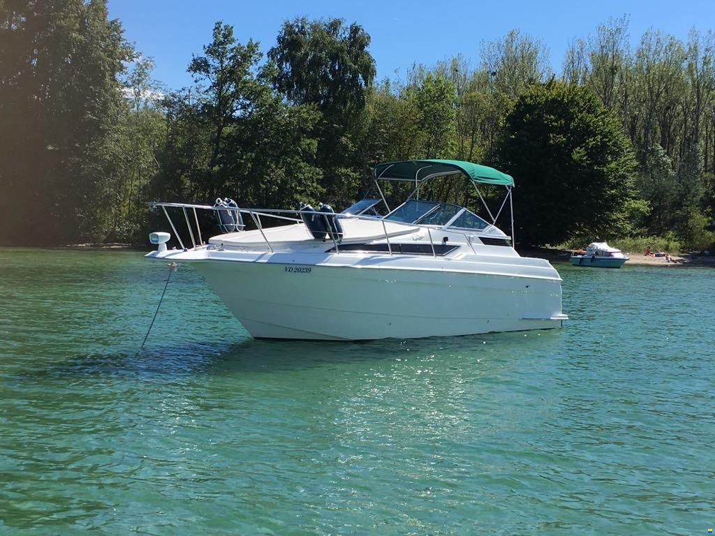 Wellcraft 2700 Martinique