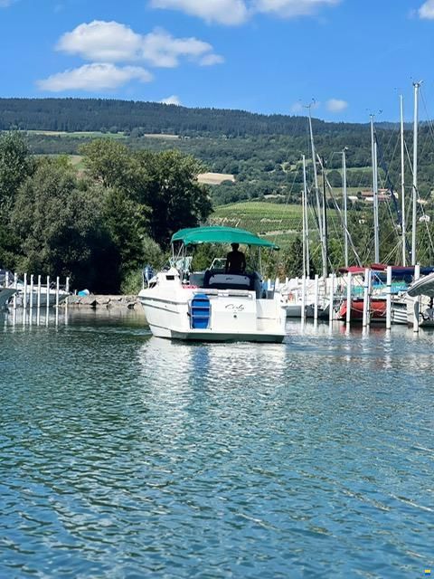 Wellcraft 2700 Martinique