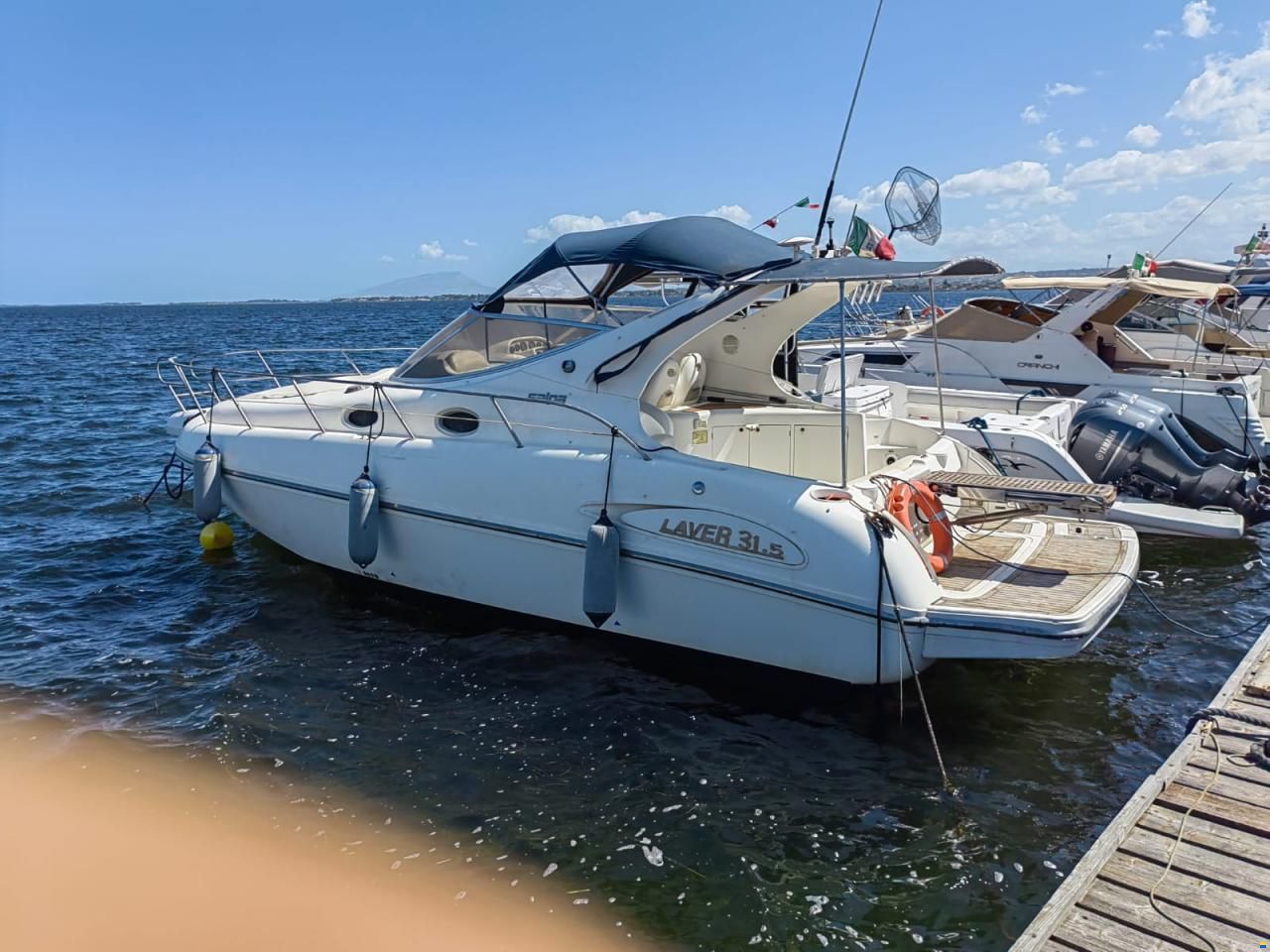 Laver Salpa 31.5