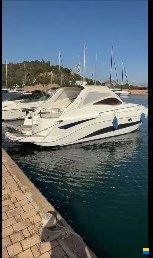 Stama 37