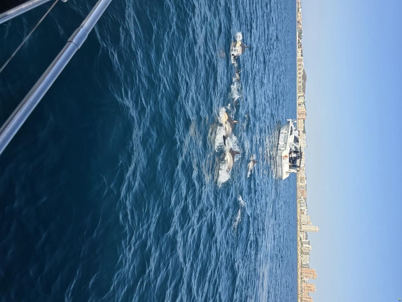 Cranchi 41 Endurance