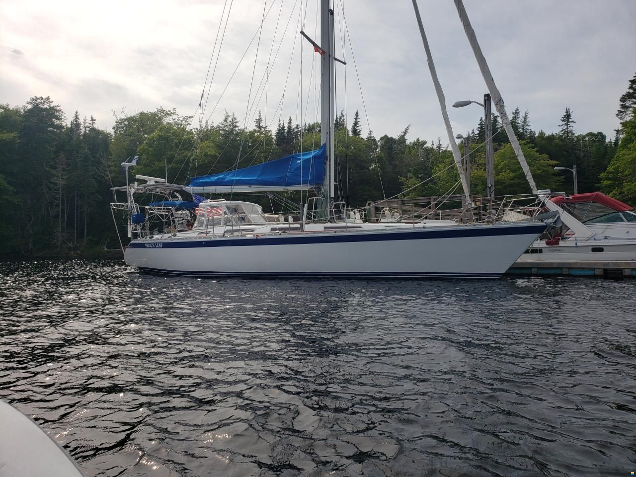 Wauquiez Centurion 49
