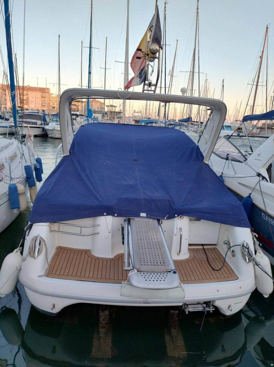 Sessa Oyster 30