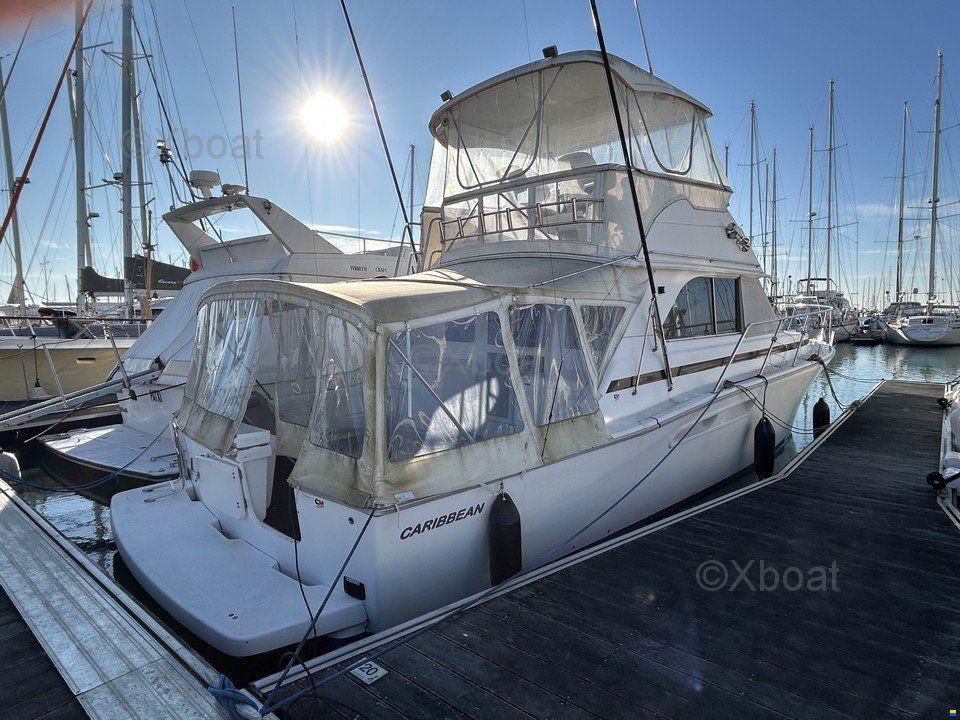 CARIBBEAN 40