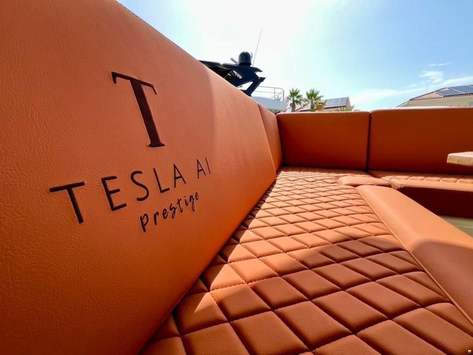 Tesla AI