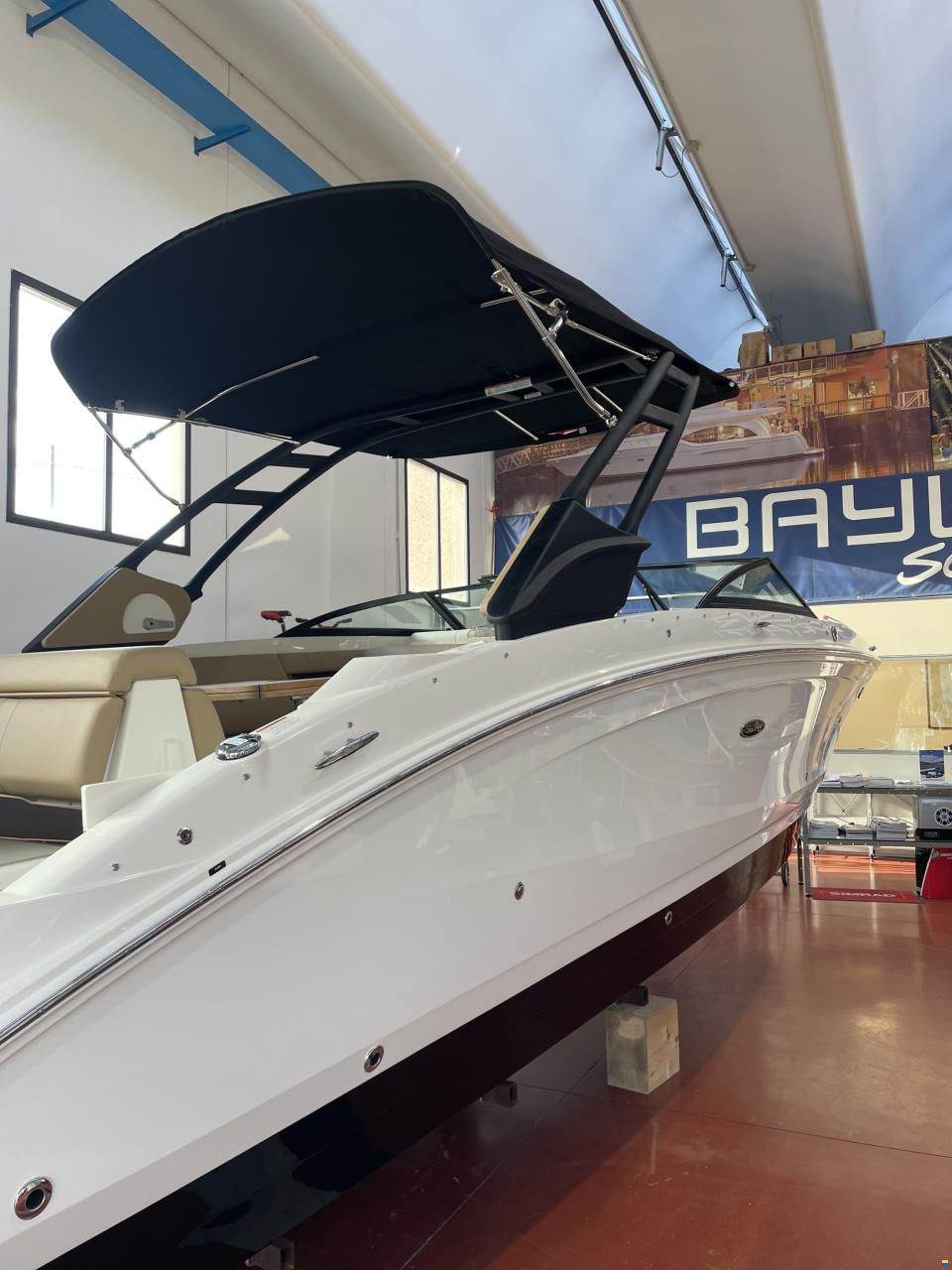 Sea Ray SDX 270