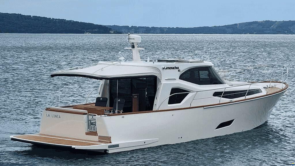 Monachus ISSA 45
