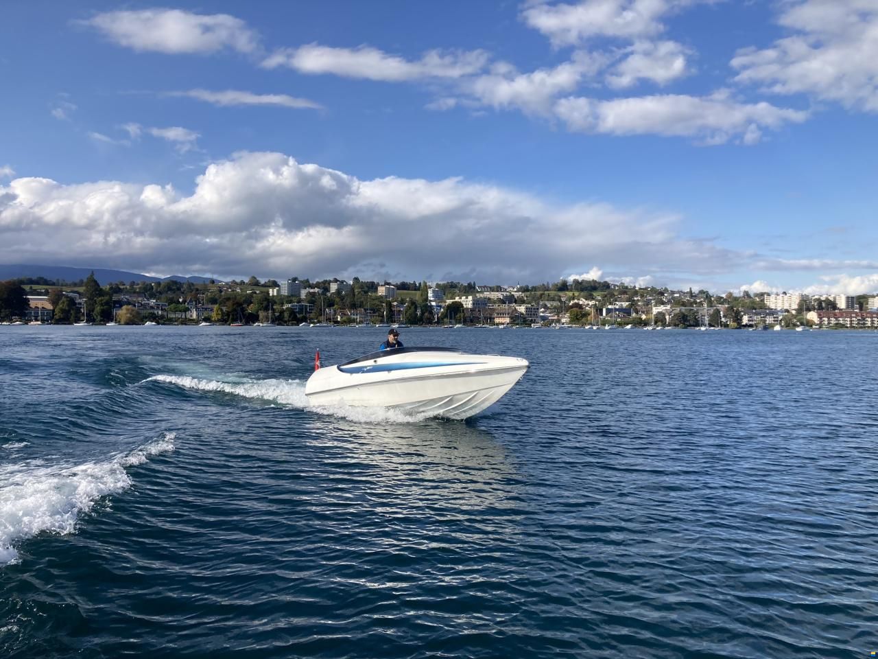 Albatro 22 S