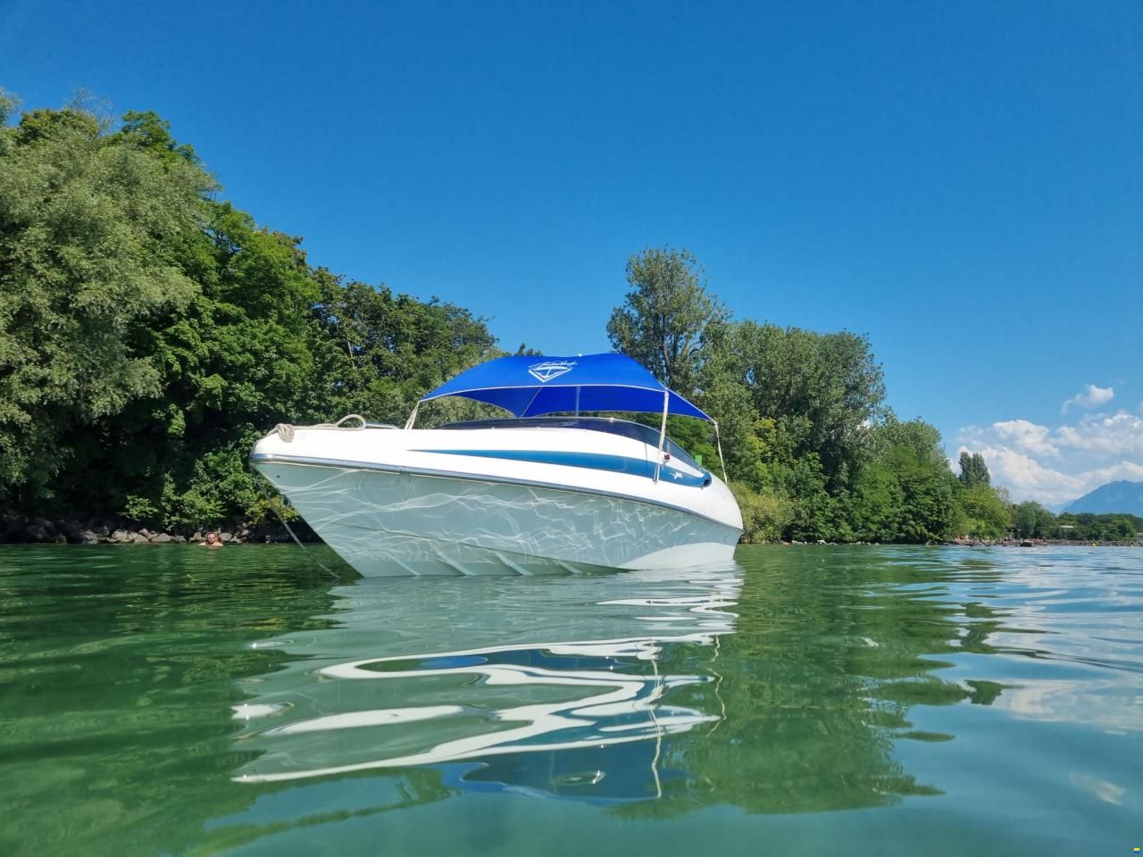 Albatro 22 S