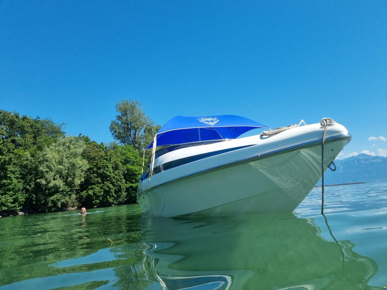 Albatro 22 S