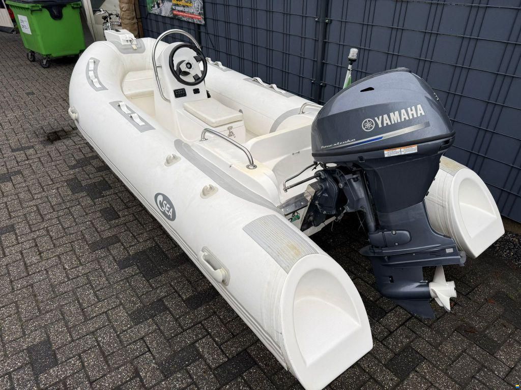 Rib 390
