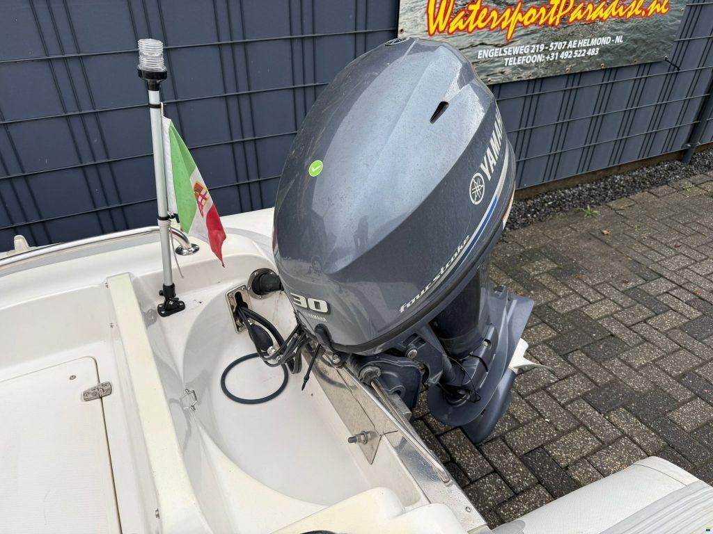 Rib 390