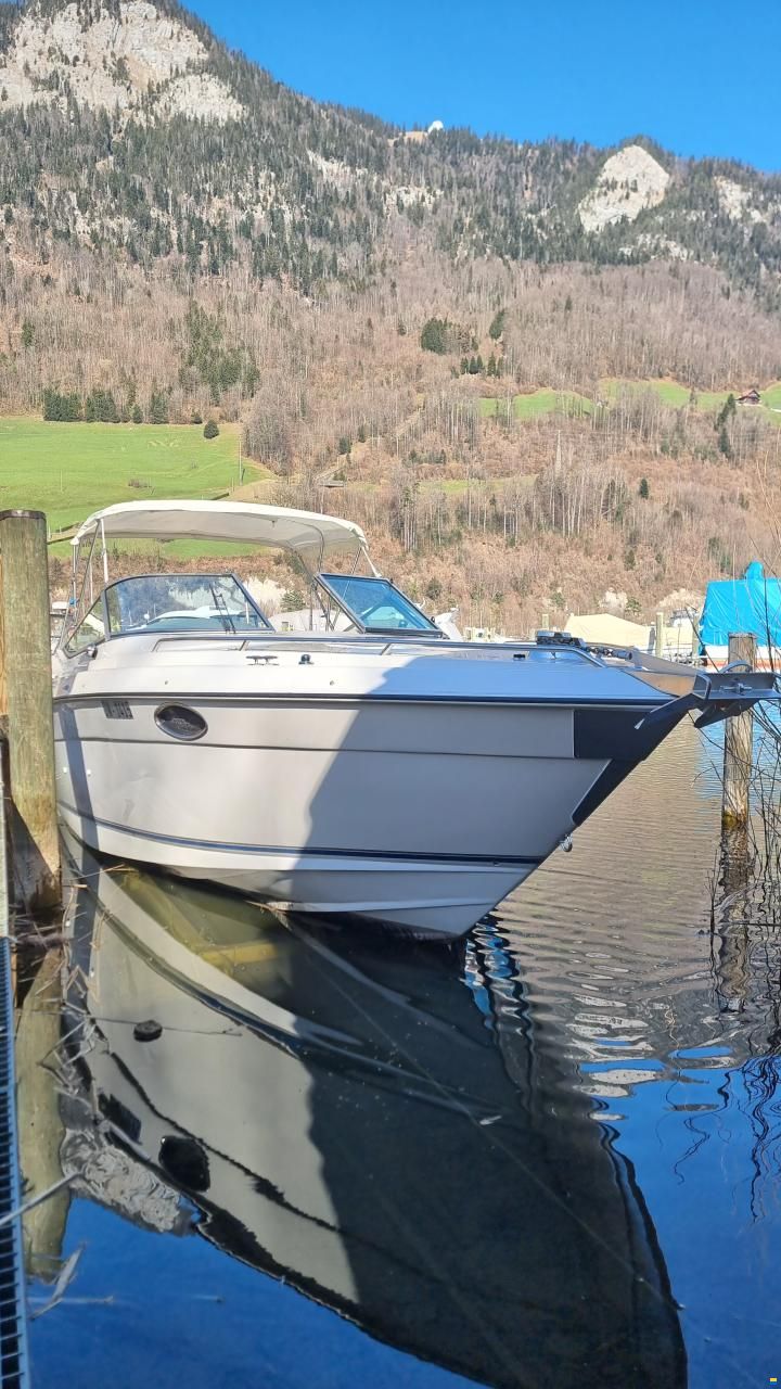 Regal Ventura 8.3 SC Cuddy