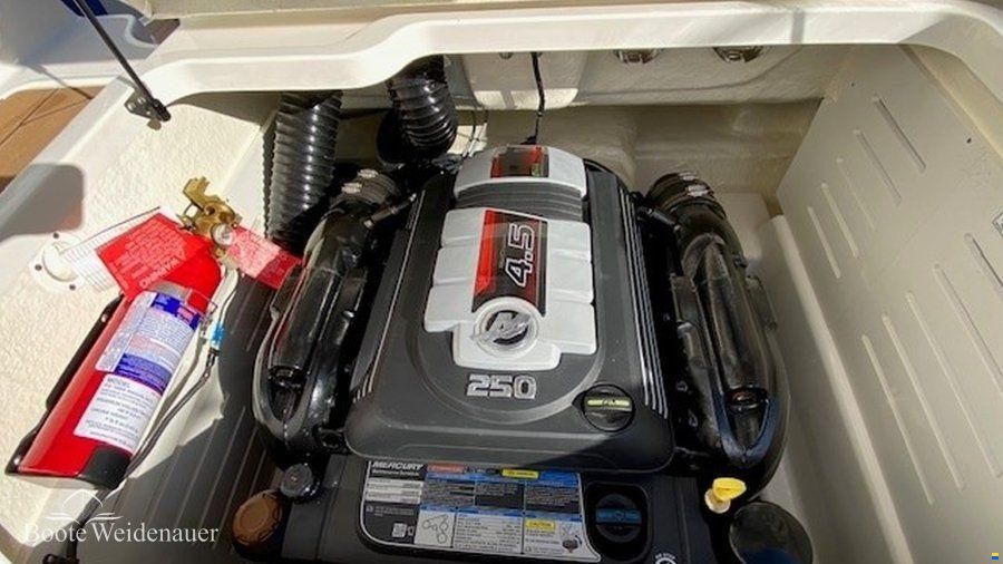 Bayliner DX2050