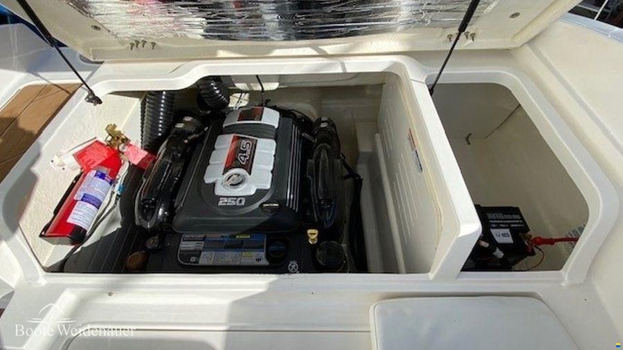 Bayliner DX2050