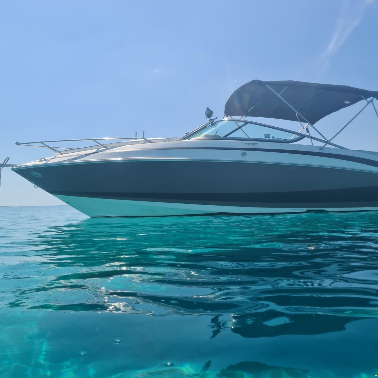 Regal 2550