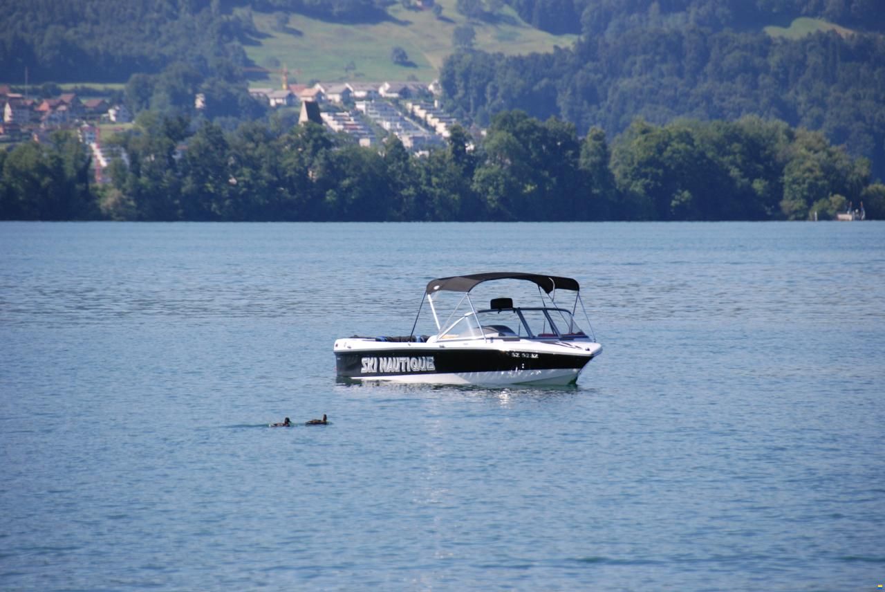 Correct Craft SKI NAUTIQUE 196