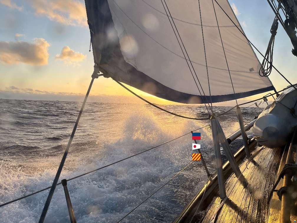 Hallberg-Rassy 382