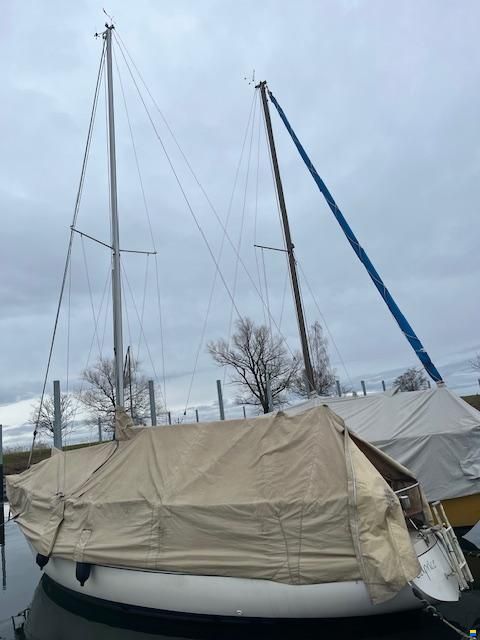 Dehler Optima