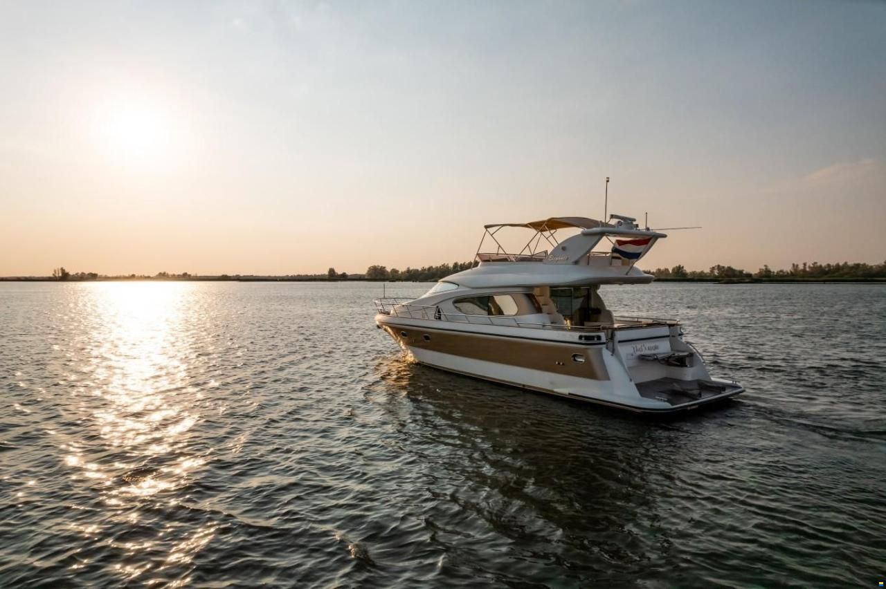 Elegance 54