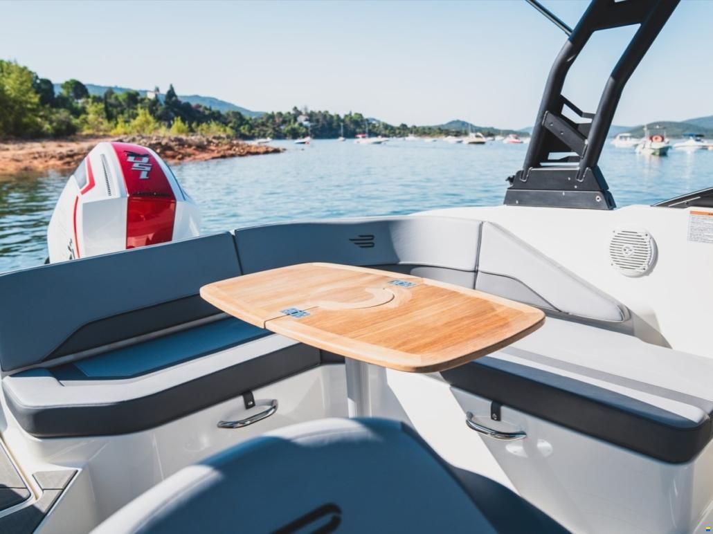 Bayliner V20
