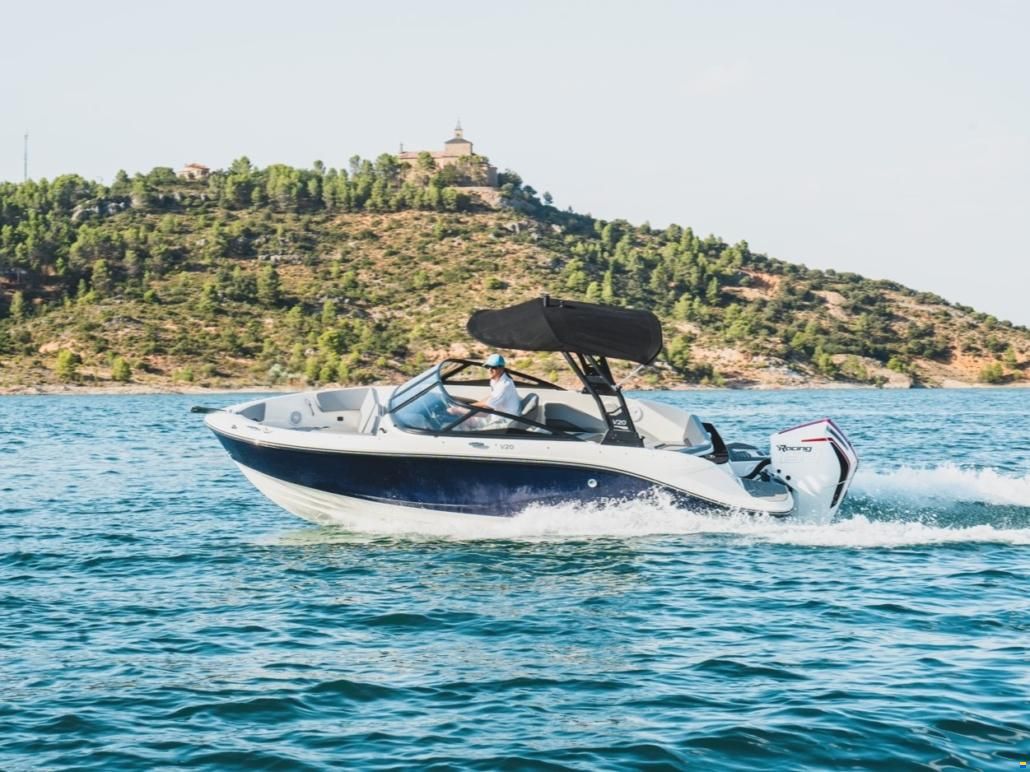 Bayliner V20