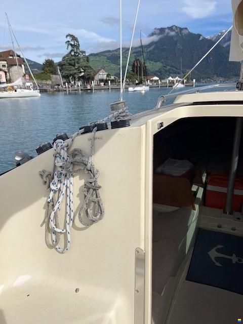 O.L.-Boats International 806