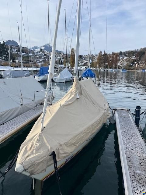 O.L.-Boats International 806