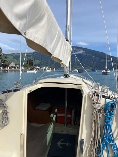 O.L.-Boats International 806