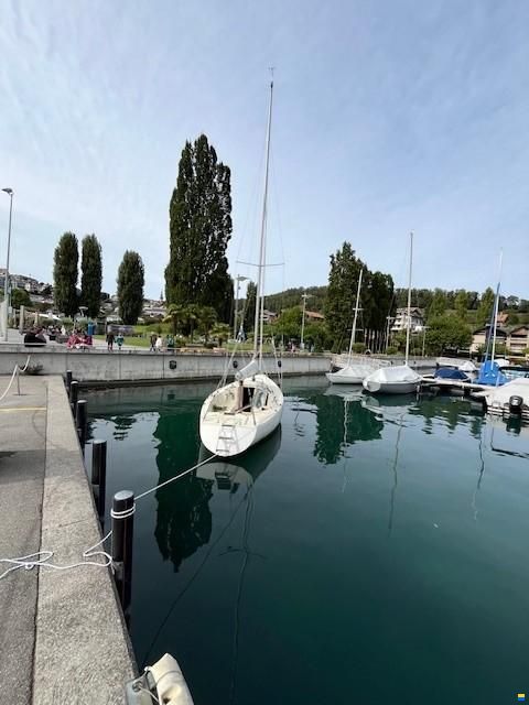 O.L.-Boats International 806