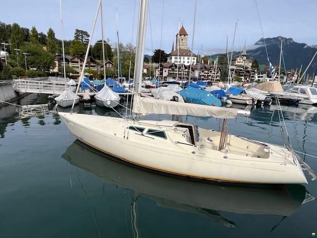 O.L.-Boats International 806