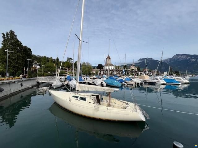 O.L.-Boats International 806