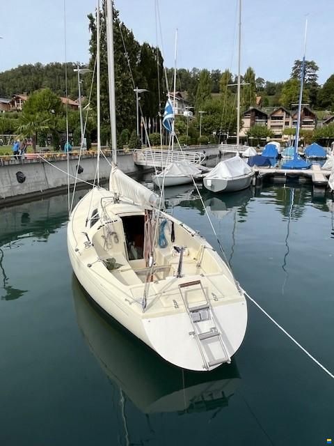 O.L.-Boats International 806