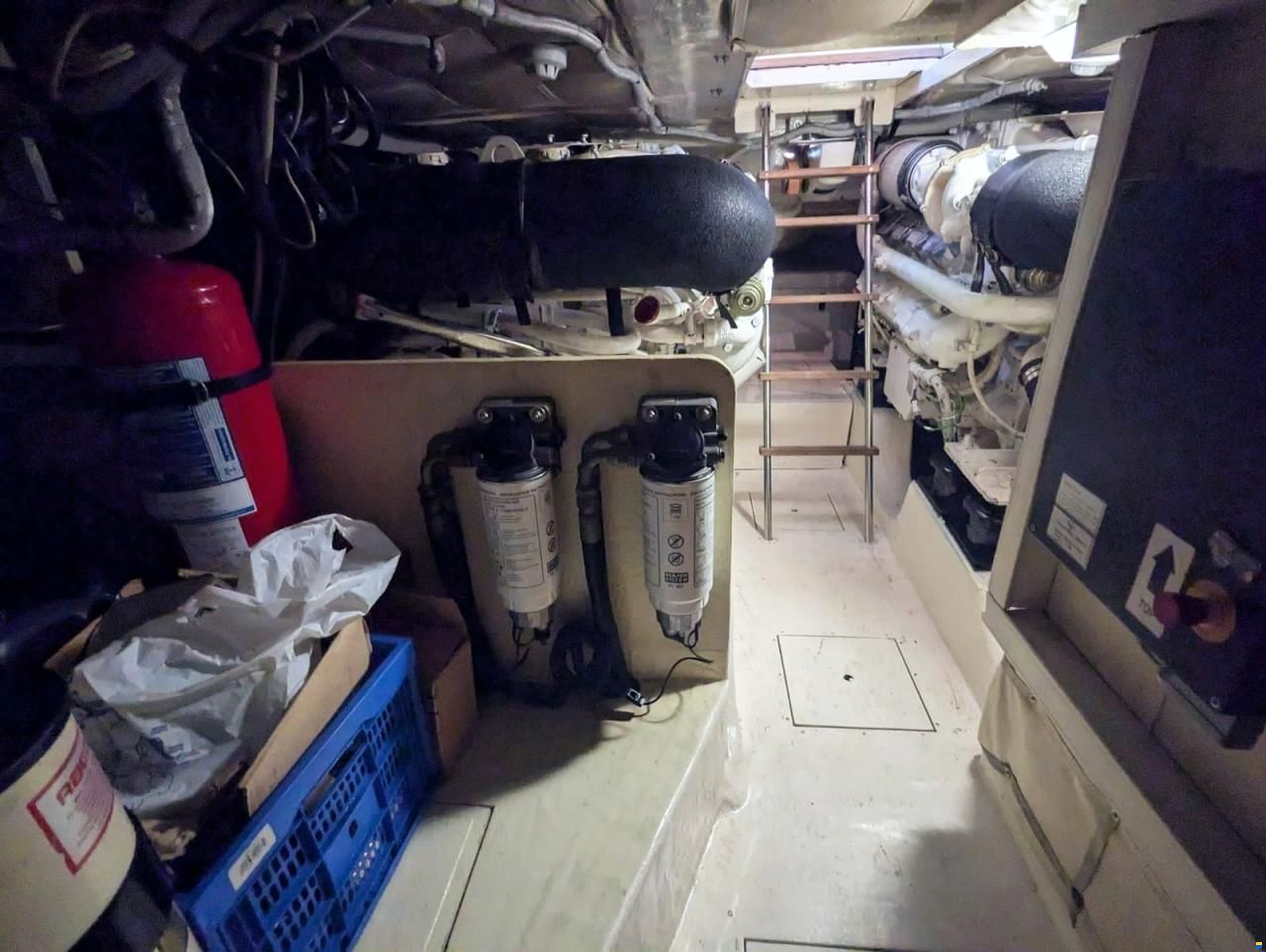 Mochi Craft Dolphin 51