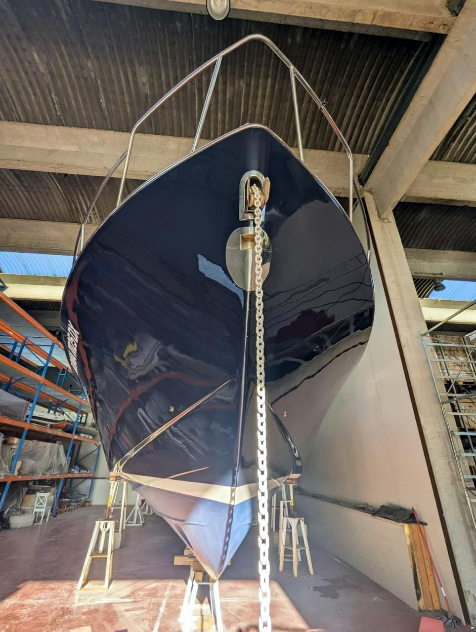 Mochi Craft Dolphin 51