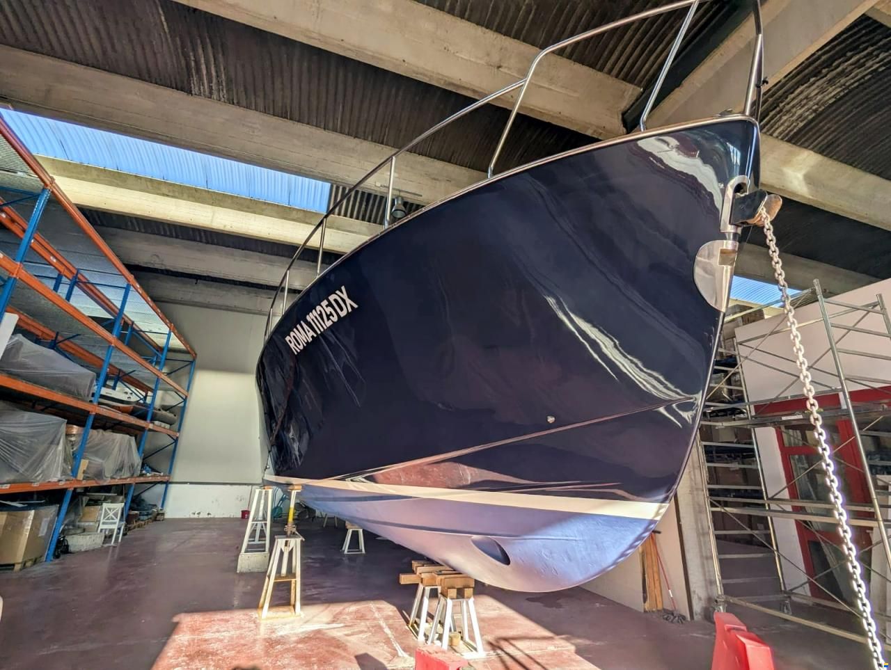 Mochi Craft Dolphin 51