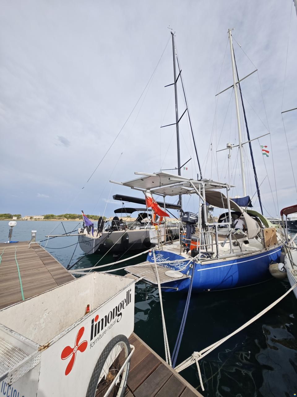 RPD Nelson 46