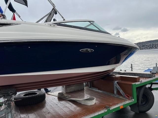 Sea Ray 210 Select