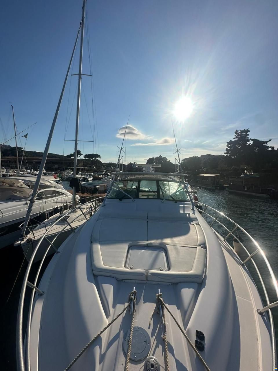 Bertram Yacht 360 Moppie