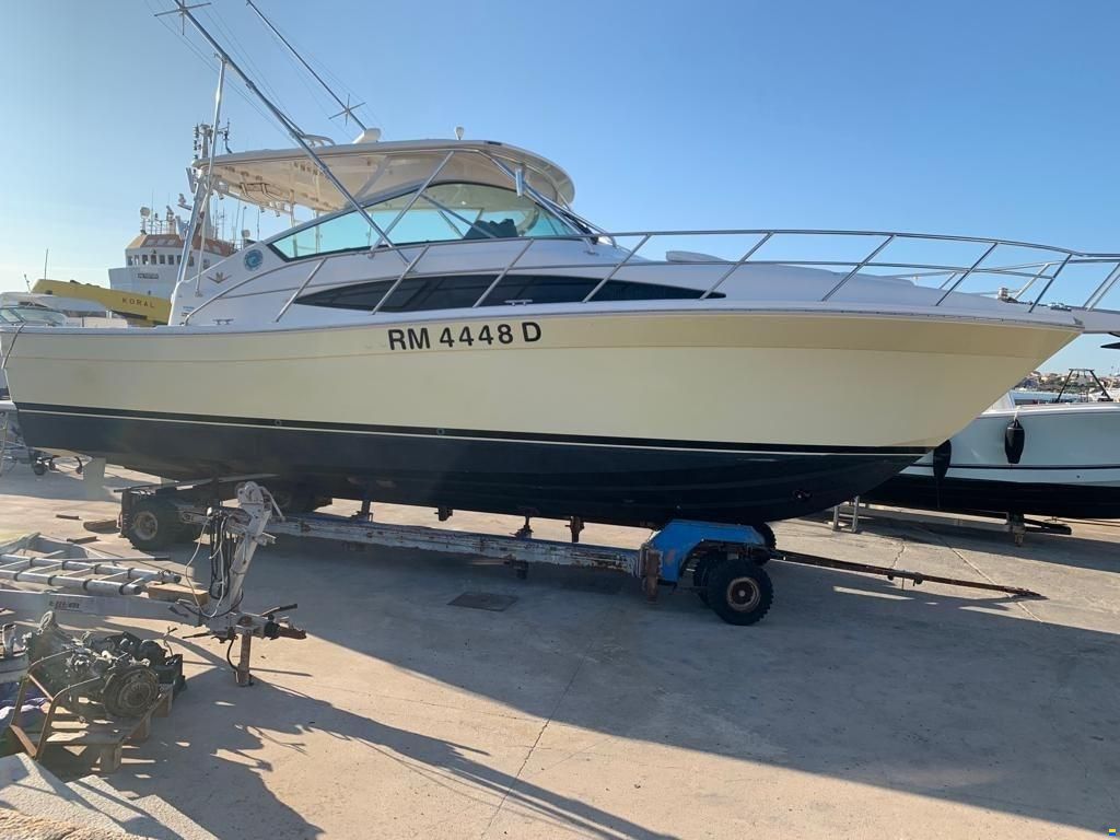 Bertram Yacht 360 Moppie