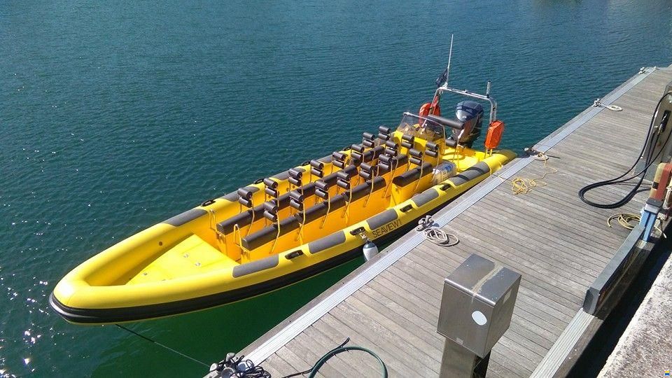 Hydrosport Performance RIBs 909 VFI