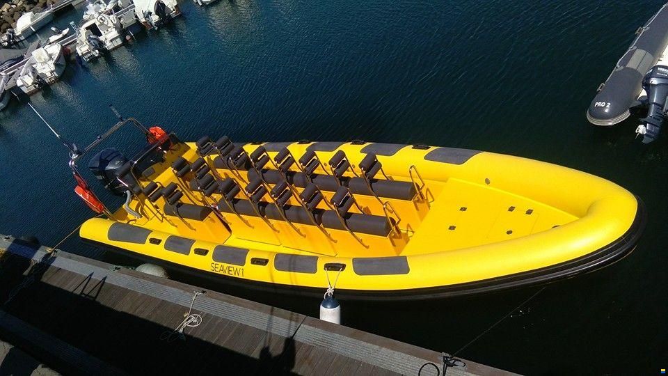 Hydrosport Performance RIBs 909 VFI