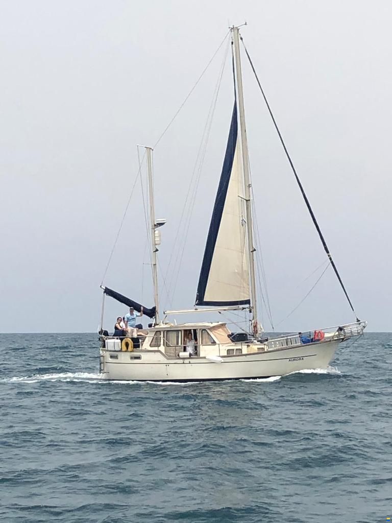 Nauticat 33