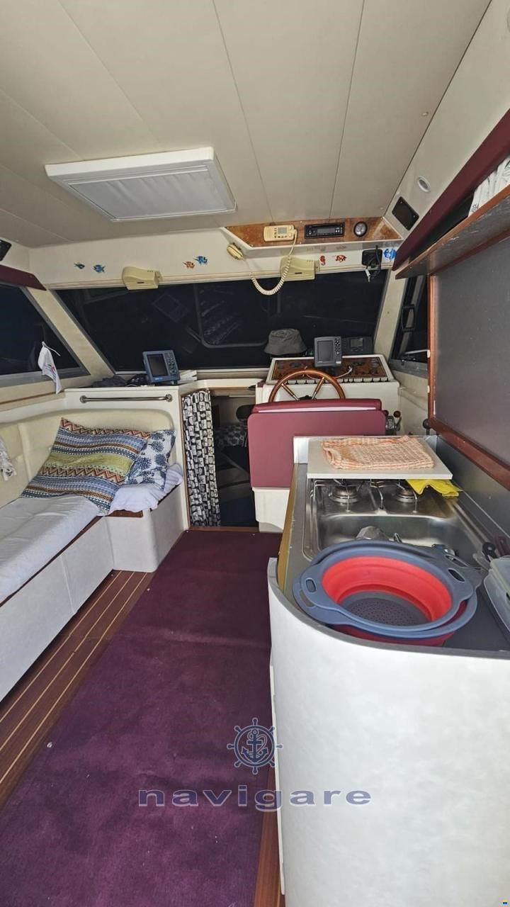 Plastik SPACE 310 CRUISER